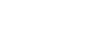 Vertical Axion Logo